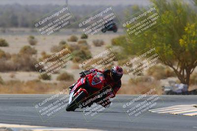 media/Apr-10-2022-SoCal Trackdays (Sun) [[f104b12566]]/Turn 5 Tree of Life (1040am)/